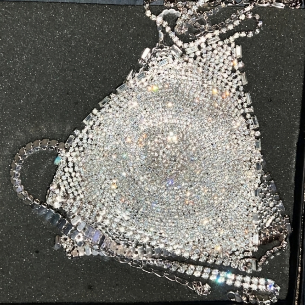 Express Vintage Jeweled Brazilian Bikini Top Sexy Silver Never Been Worn NIB